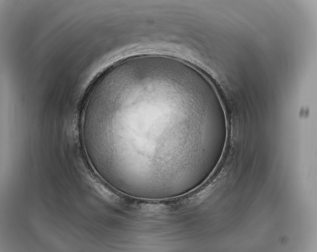 X0000097831498200803141133