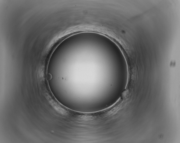 X0000097831499200803141133