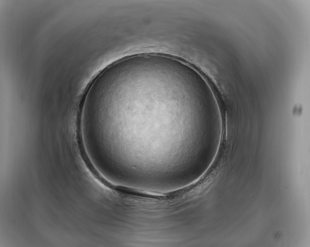 X0000097831500200803141133