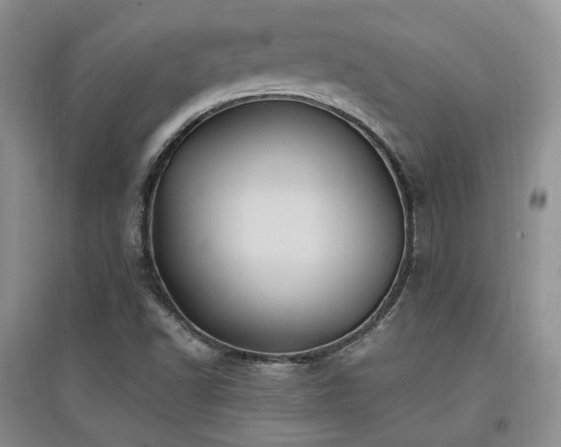 X0000097831502200803141133