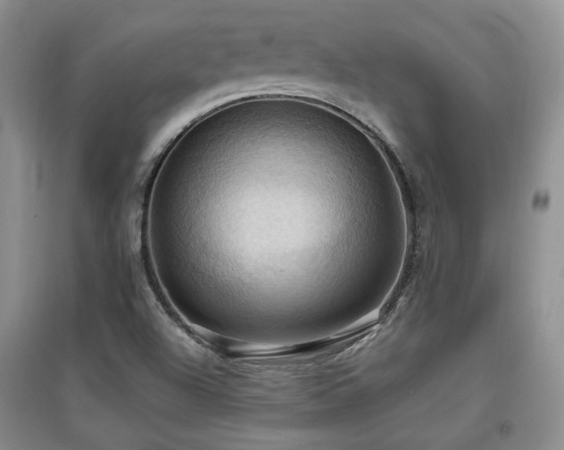 X0000097831504200803141133