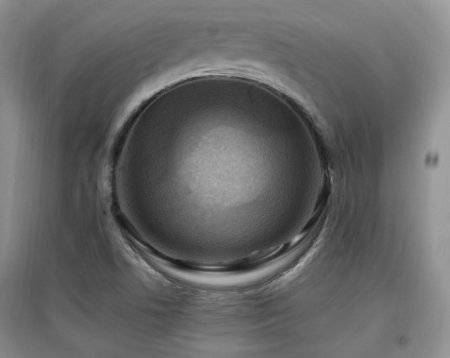 X0000097831506200803141133
