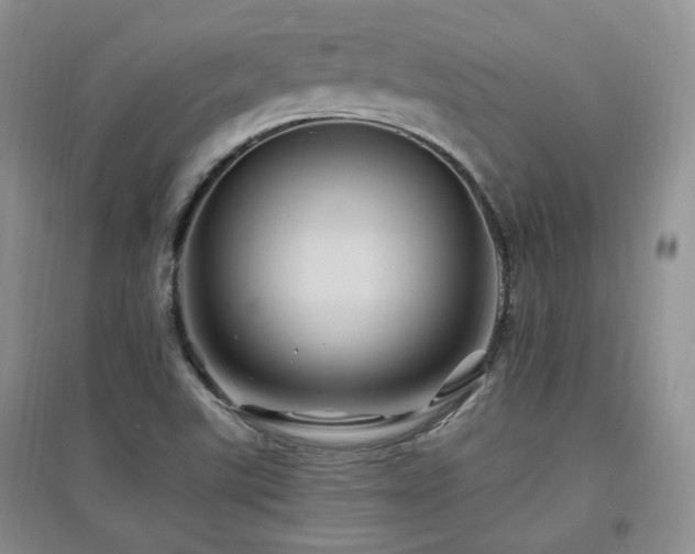 X0000097831507200803141133