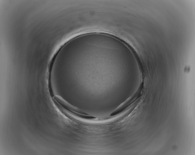 X0000097831508200803141133