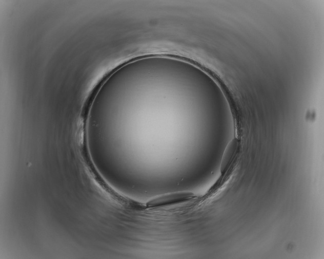 X0000097831509200803141133