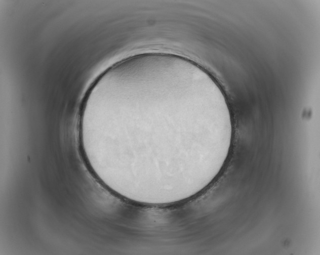 X0000097831514200803141133