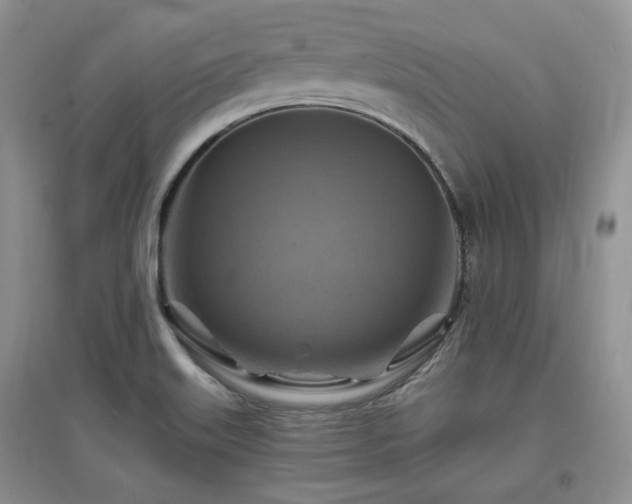 X0000097831515200803141133