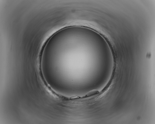 X0000097831517200803141133