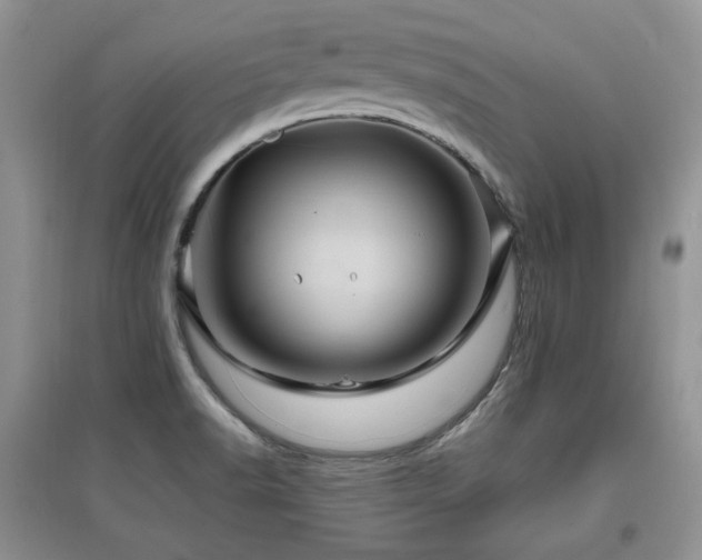 X0000097831518200803141133