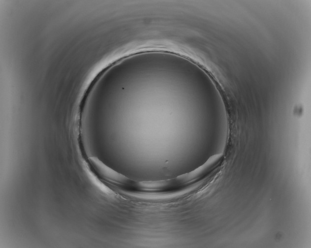 X0000097831519200803141133
