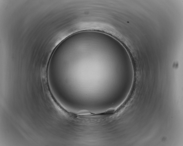 X0000097831521200803141133