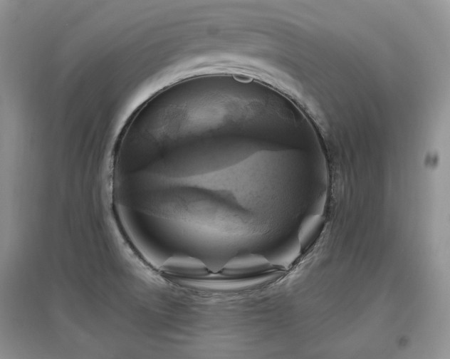 X0000097831522200803141133