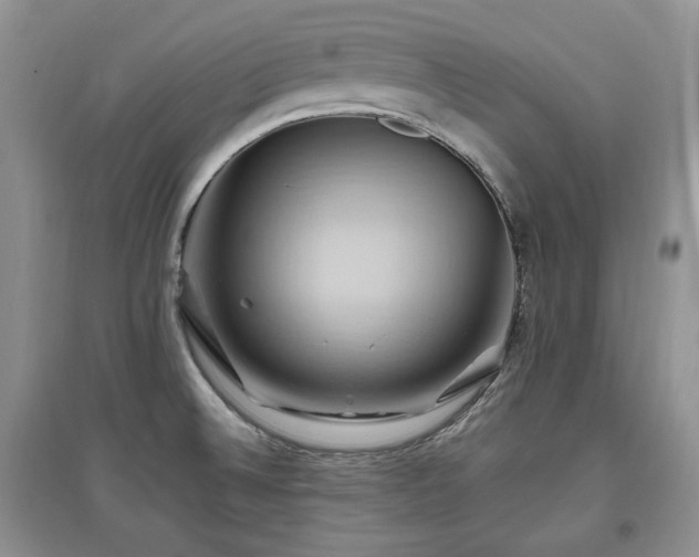X0000097831524200803141133