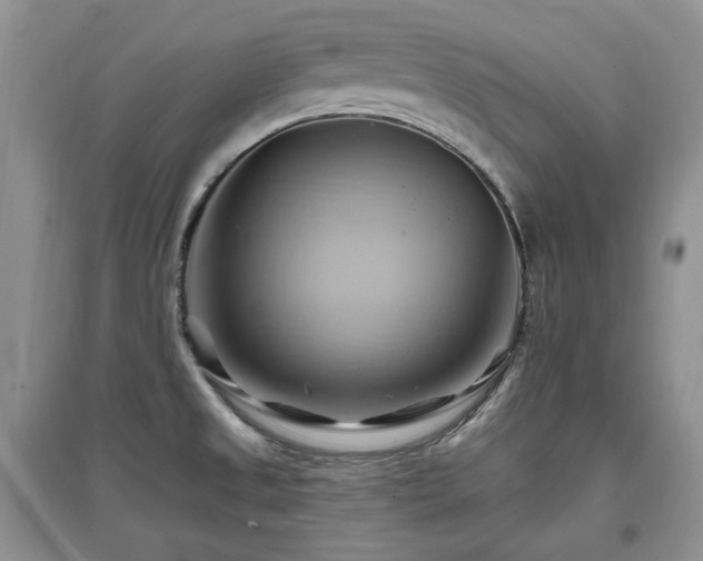 X0000097831525200803141133