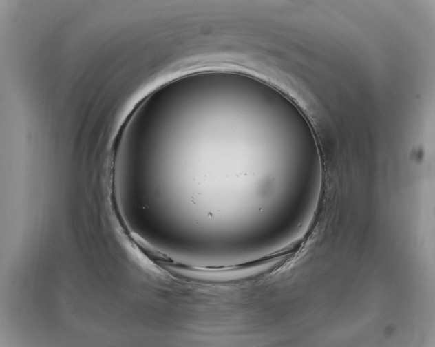 X0000097831526200803141133