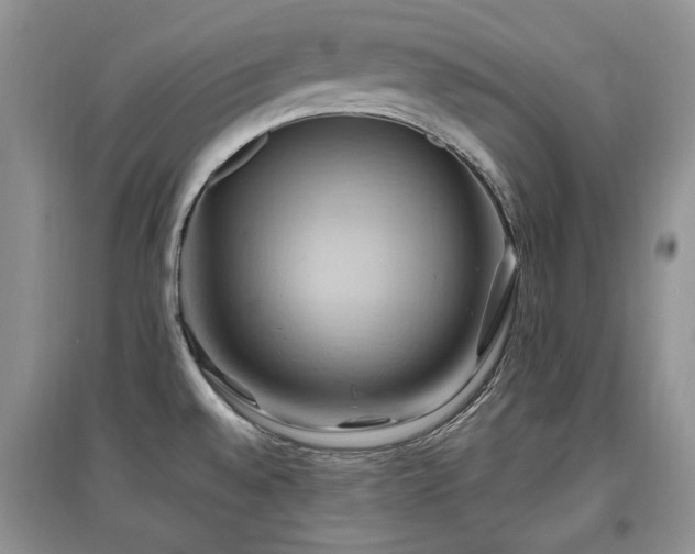 X0000097831528200803141134