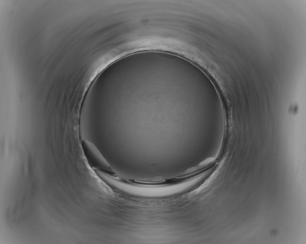 X0000097831529200803141134
