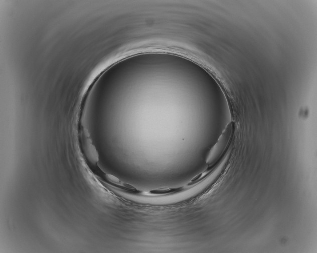 X0000097831530200803141134