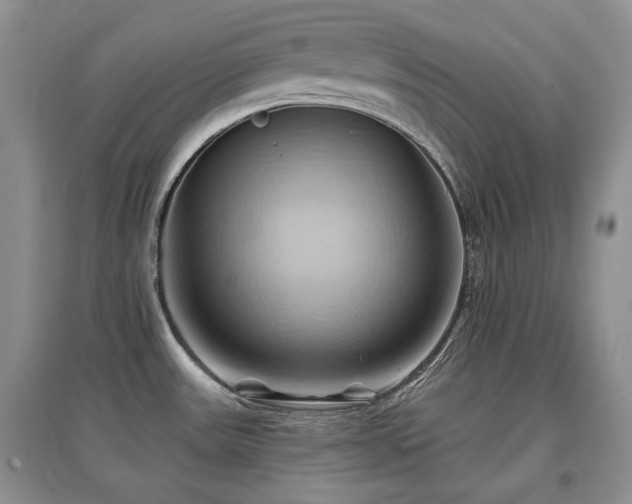 X0000097831531200803141134