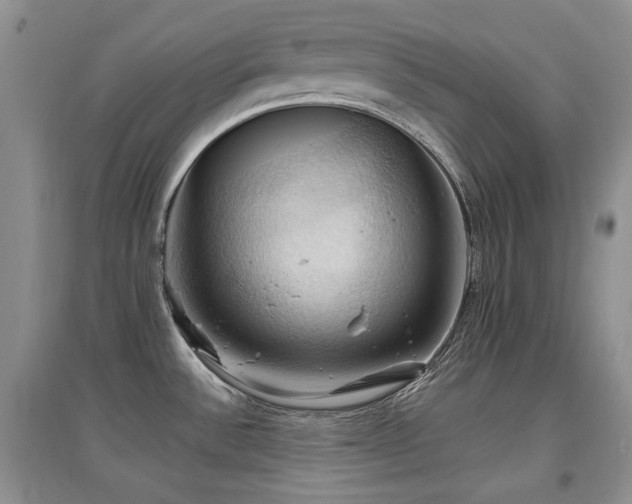 X0000097831532200803141134