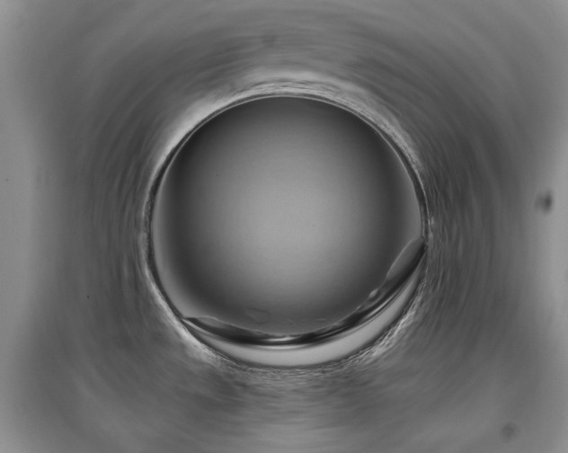 X0000097831533200803141134
