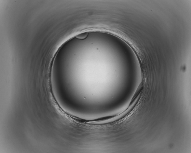 X0000097831534200803141134