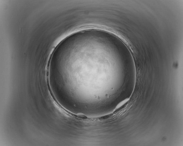 X0000097831535200803141134