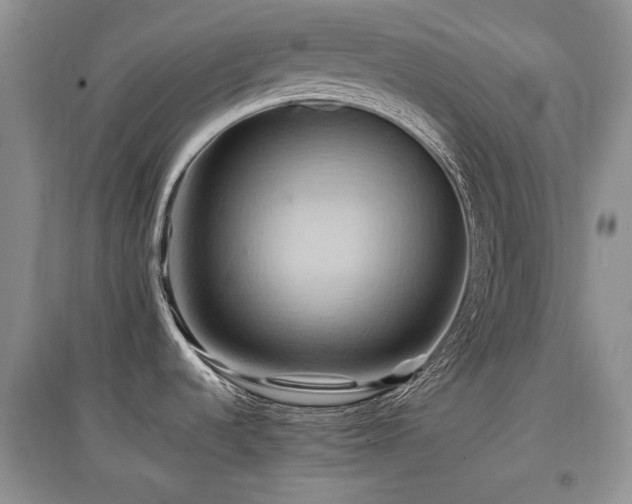 X0000097831536200803141134