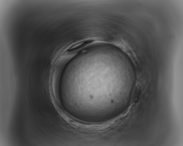 X0000097830001200803201507