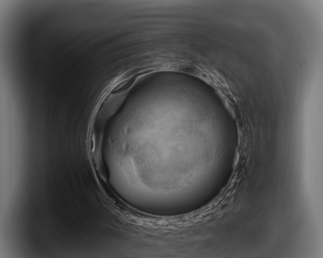 X0000097830003200803201507