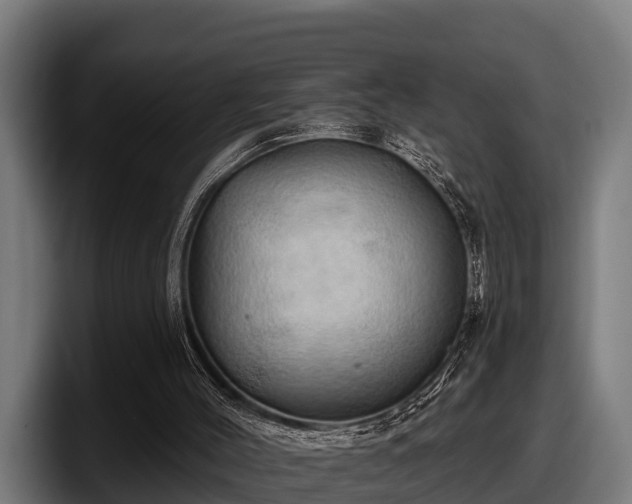 X0000097830004200803201507