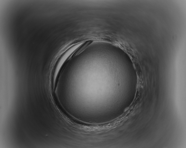 X0000097830005200803201507