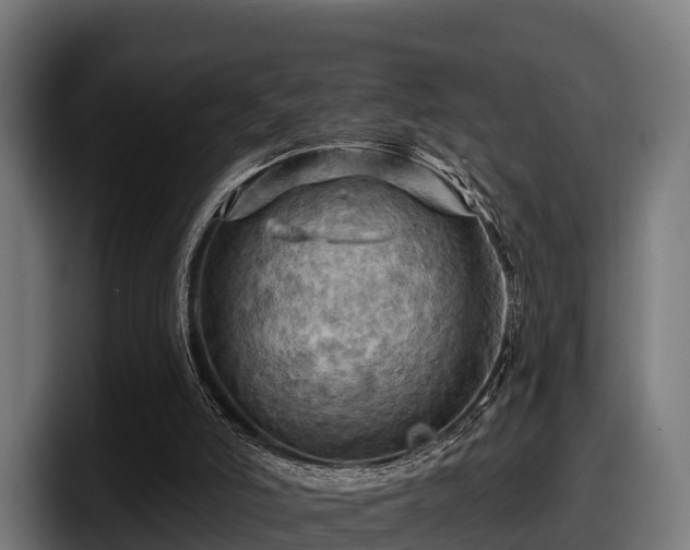 X0000097830006200803201507