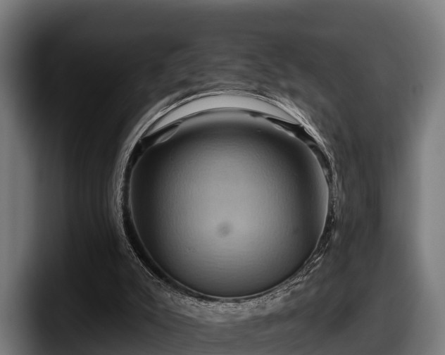 X0000097830007200803201507