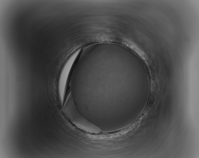 X0000097830009200803201507