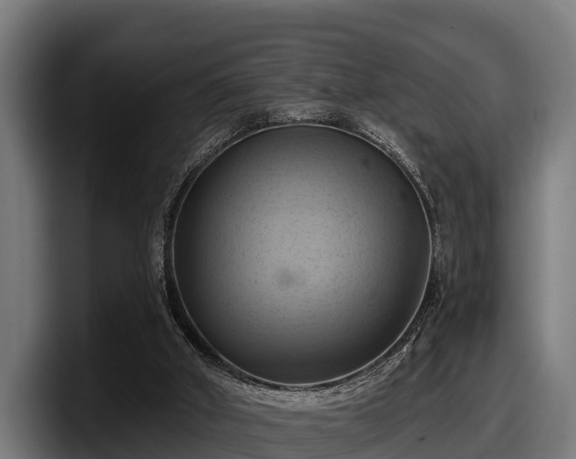 X0000097830010200803201507