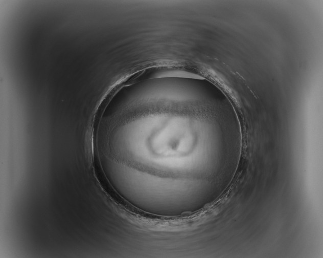 X0000097830011200803201507