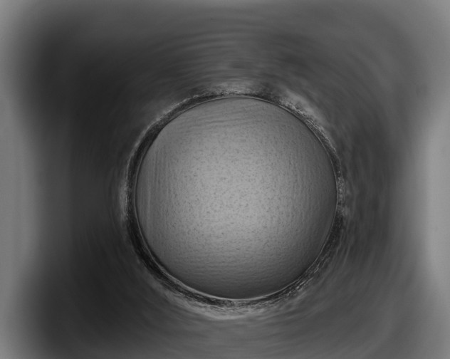 X0000097830012200803201507