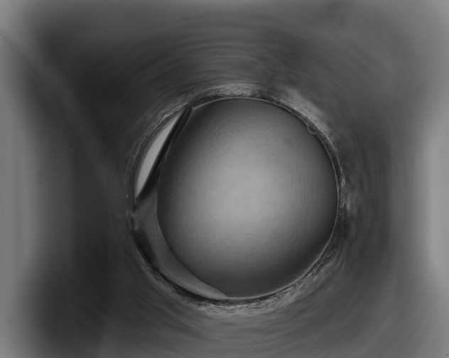 X0000097830013200803201507