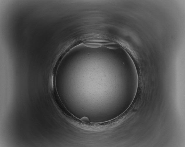 X0000097830014200803201507