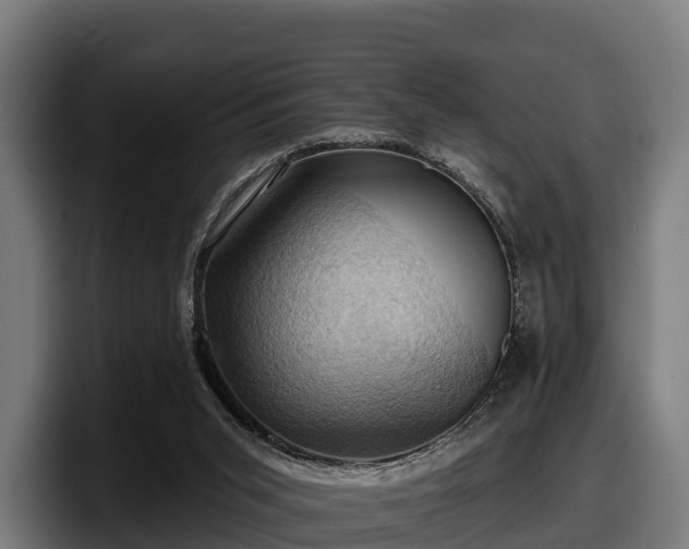 X0000097830015200803201507