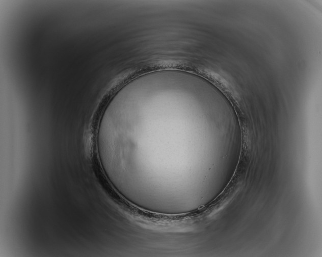 X0000097830016200803201507