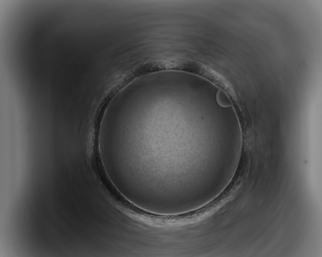 X0000097830018200803201507