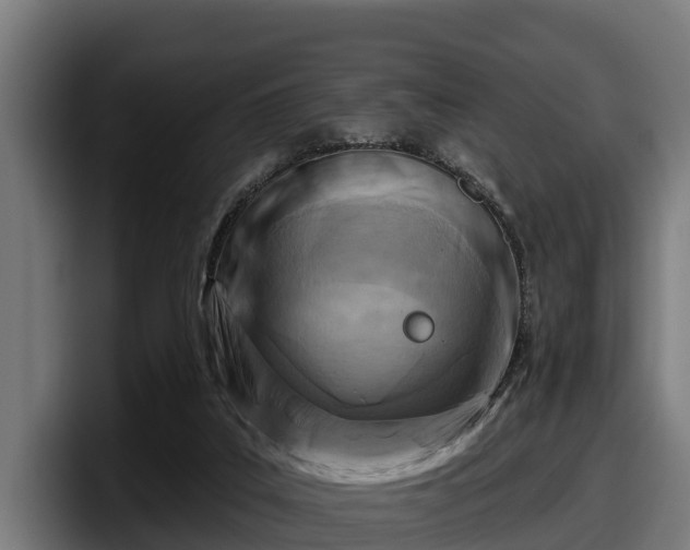 X0000097830019200803201507