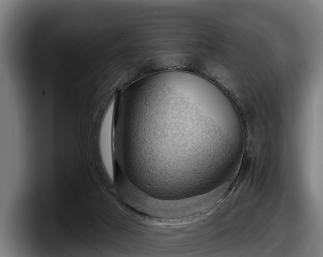 X0000097830021200803201507