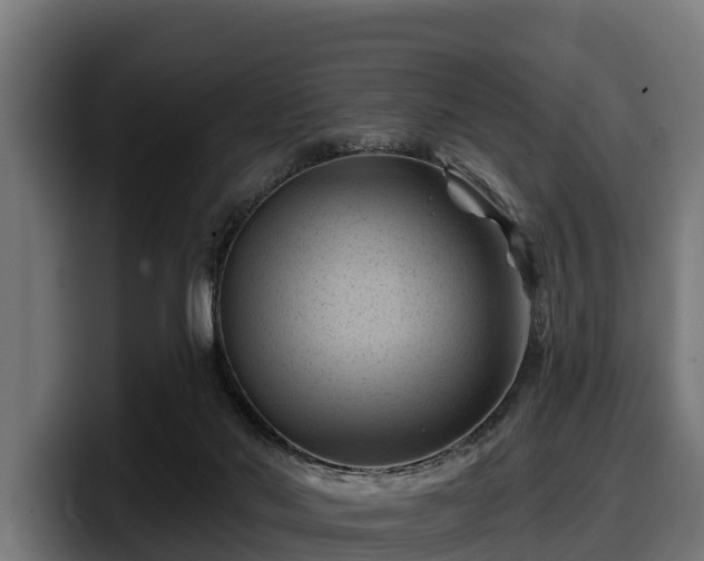 X0000097830022200803201507