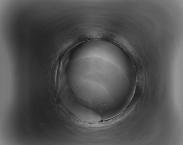 X0000097830023200803201507