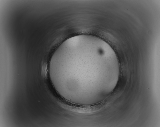 X0000097830024200803201507