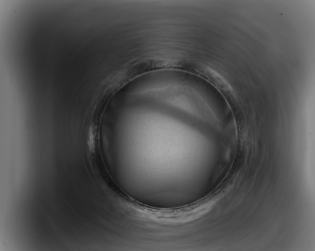 X0000097830026200803201507