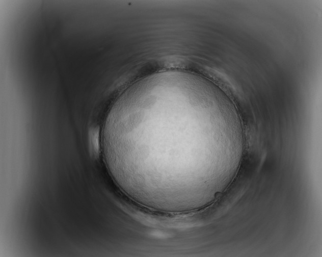 X0000097830028200803201507